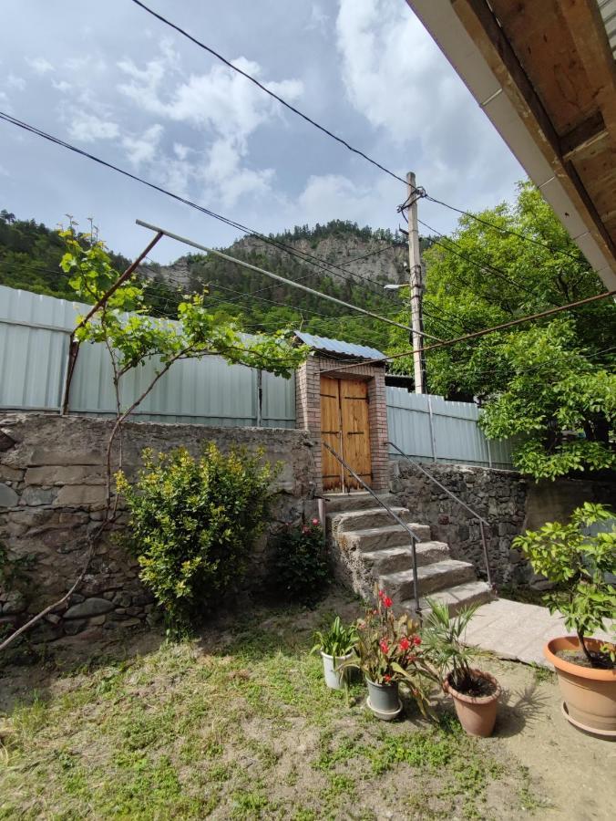 Ati Mta - Eco Hostel Borjomi Exterior photo